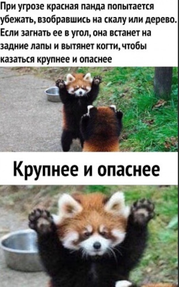 Бредзона 28.07.2020