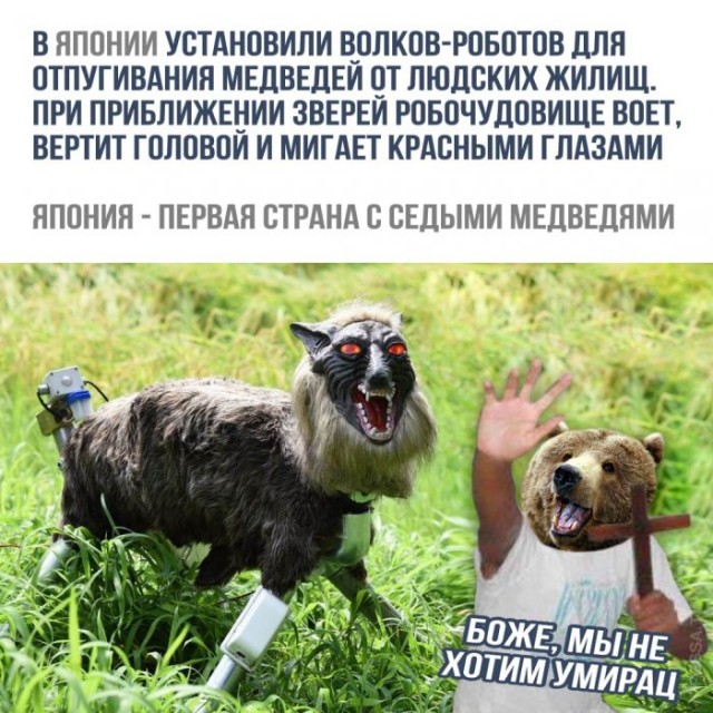 Немного картинок для настроения 16.11.20