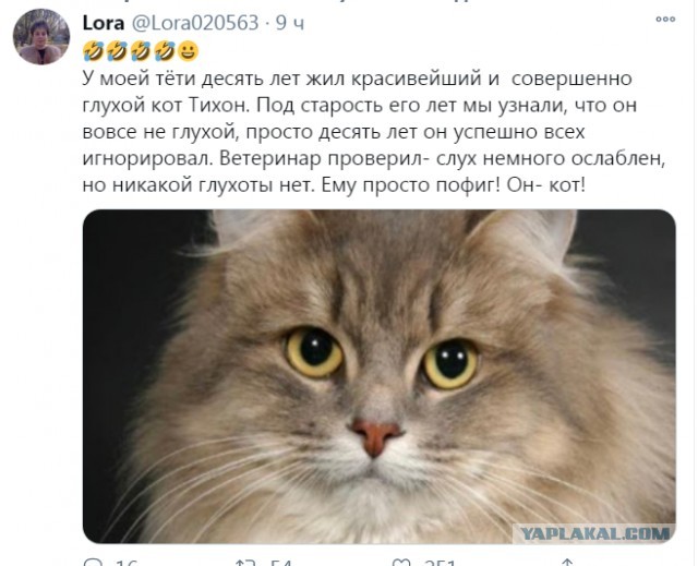 Бредзона 24.01.21