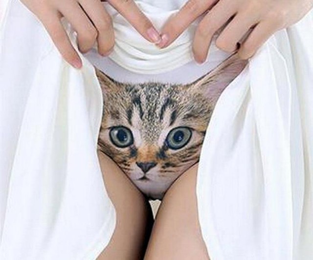 Подборочка девушек с котиками. Немного эротики 16+