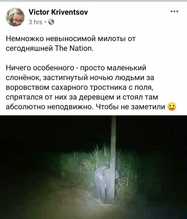 Мадам и месье, снова бонжур