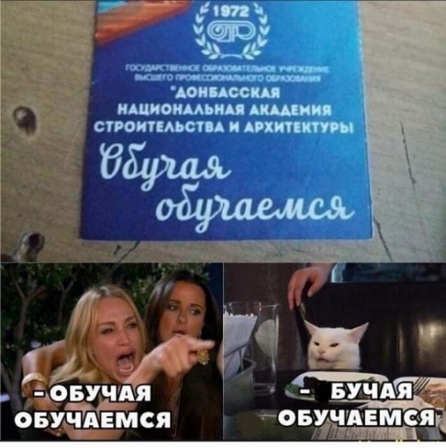 Картинки и мемы для настроения 31.03.2021