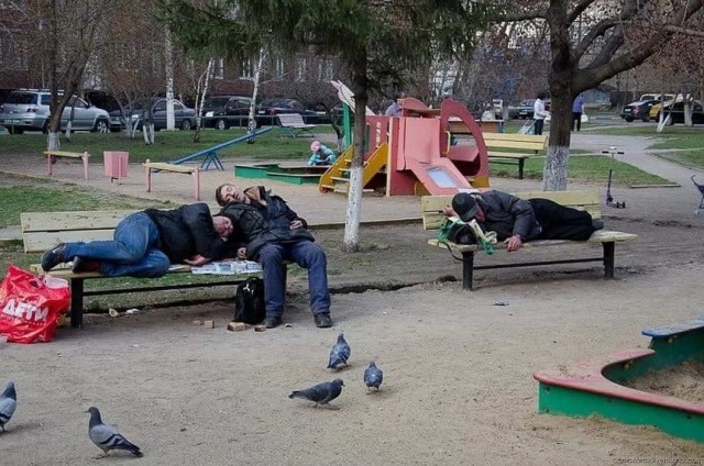 Скотсети и прочие интернеты 28.05.2021