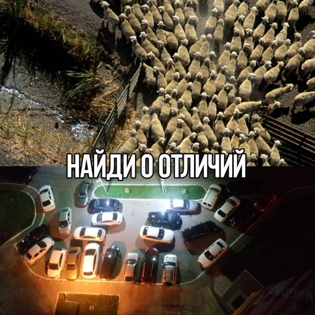 Весёлый полтишок 1.06.