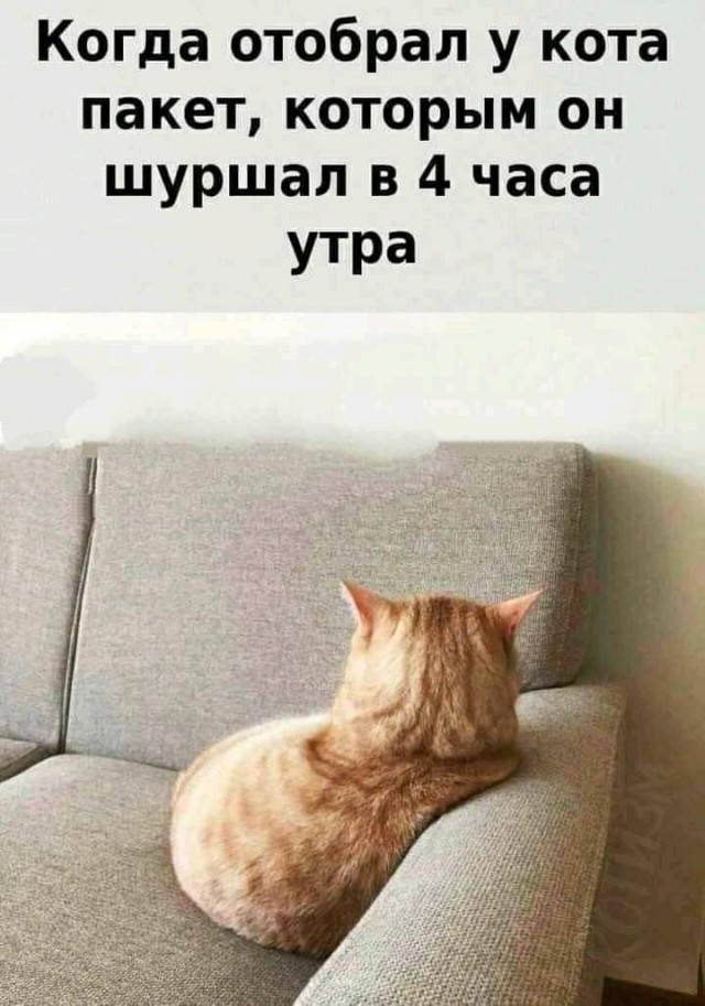 Картинки и мемы для настроения 09.09.2021
