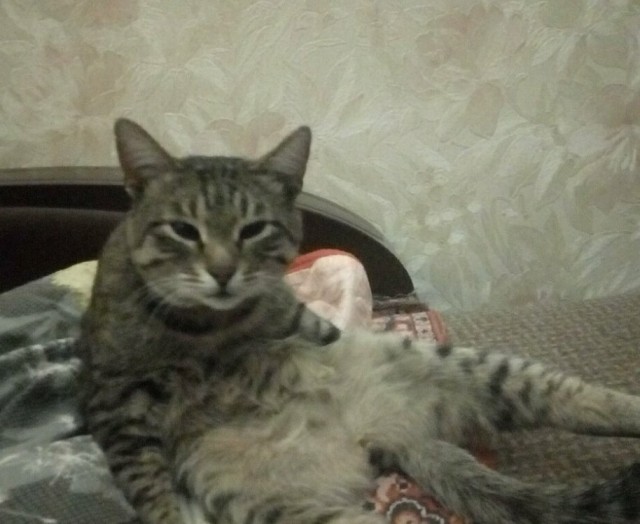 Мой самый первый КОТовторник!