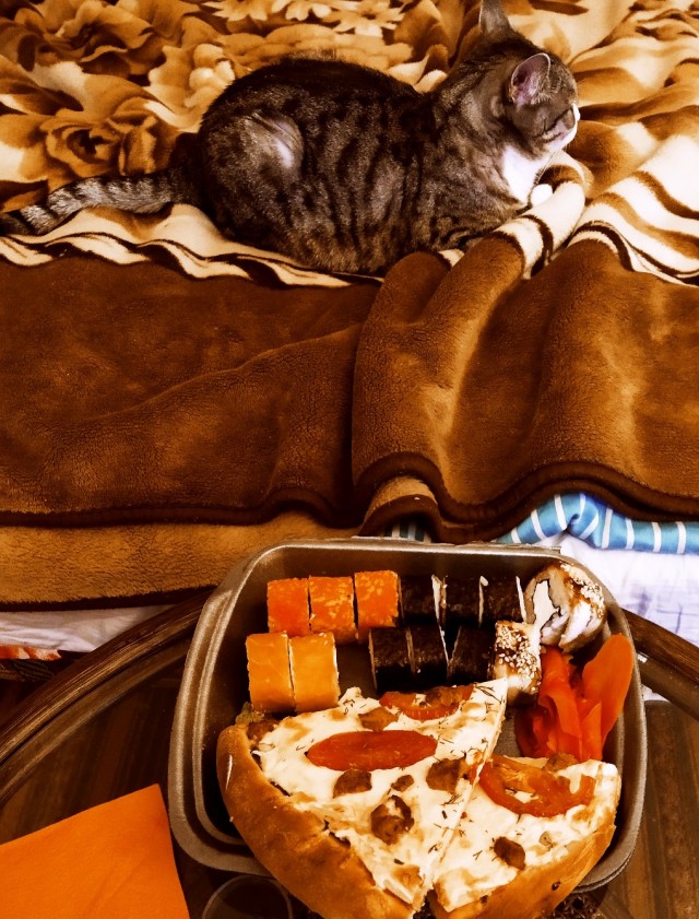 Котовторник