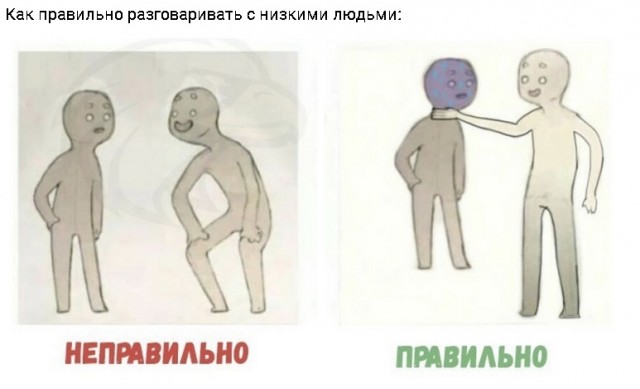 Баянисто-небаянистый юмор 9.11.21