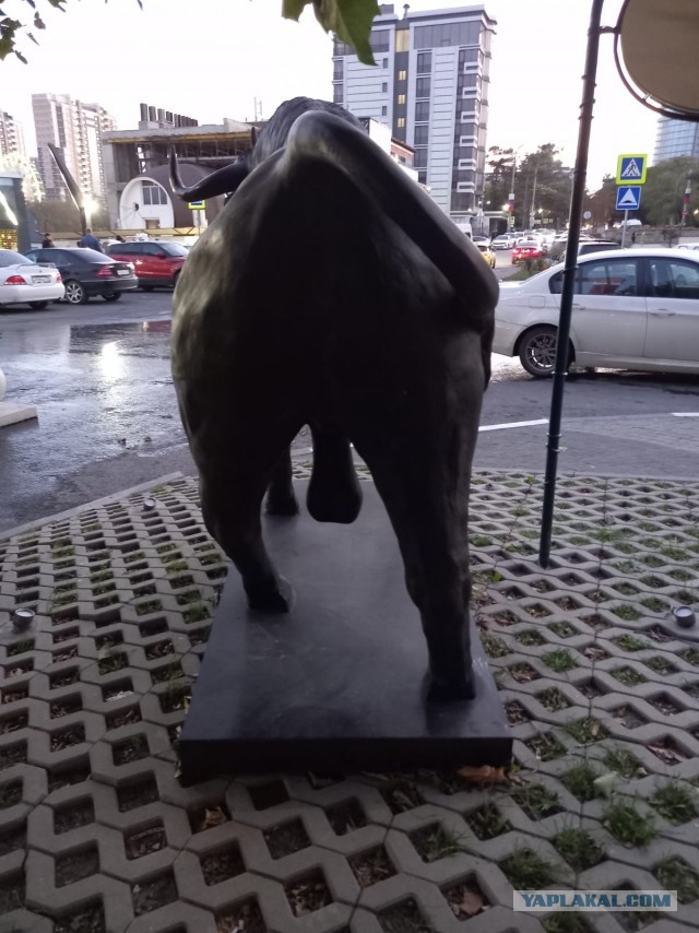 Шасси забыла убрать