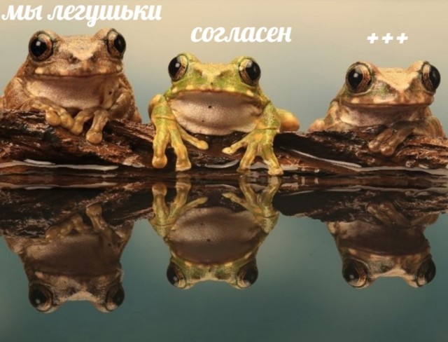 Бредзона 24.12