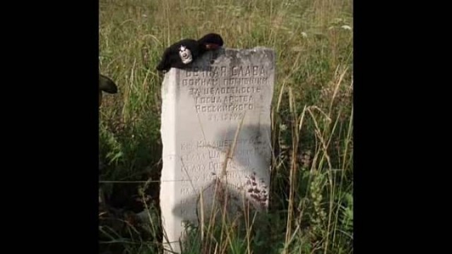 Их даже зверьем не назовешь, не хочется обижать зверей, Это нелюди, Бой морпехов за высоту 1406, 31 декабря 1999 г.