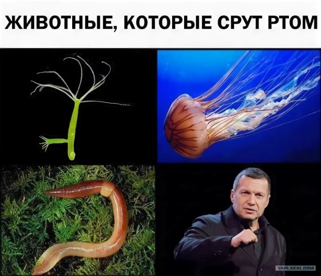 Арестована недвижимость Соловьева и Усманова в Италии