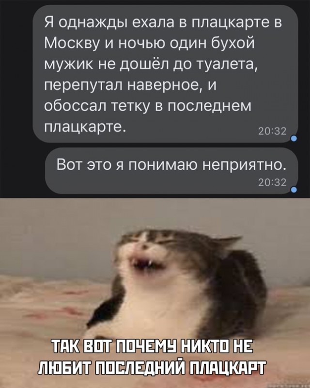 Весёлый полтишок 13.03.22