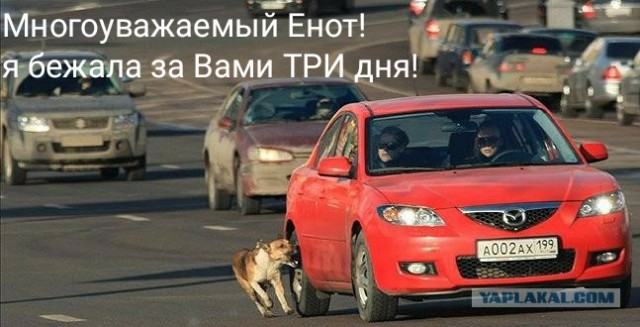 43% женщин спали с коллегами по работе