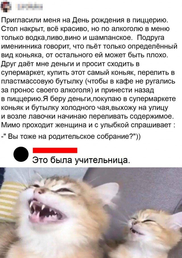 Так себе картинки 17.05.22