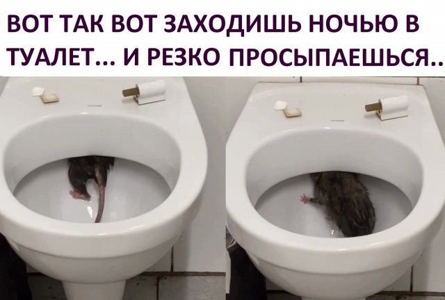 Так себе картинки 09.06.22