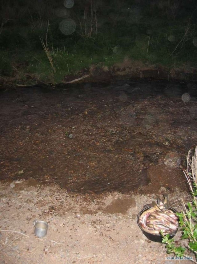 Рыбалка в горах. Плато Ассы.