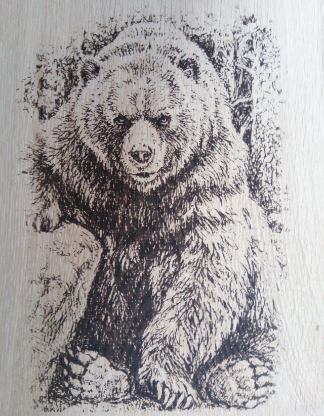 Самоделки