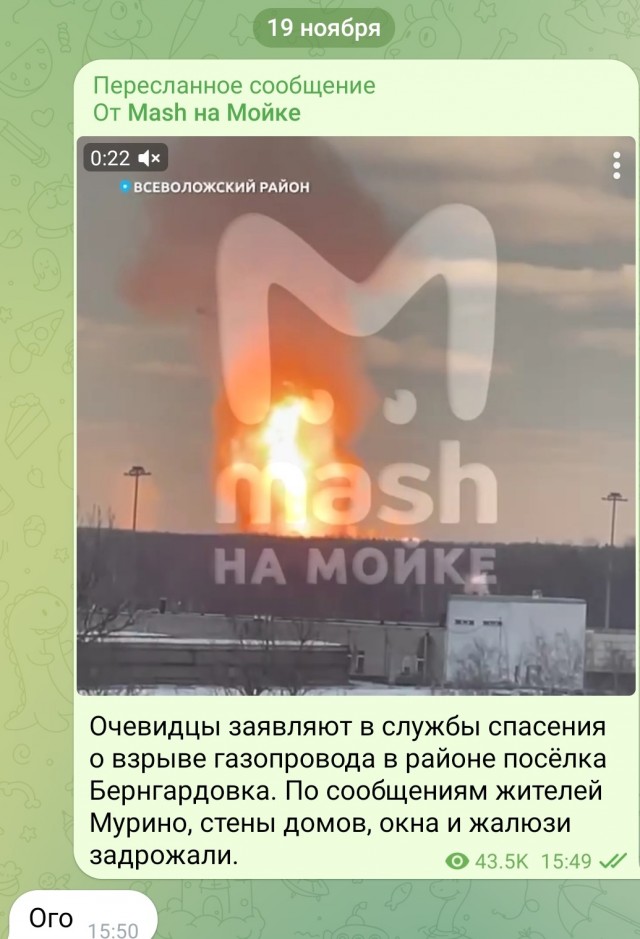 В Ленинградской области взорвался газопровод. Пламя видно из Петербурга