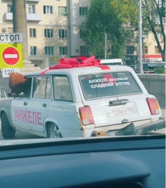 Баянистых и не очень картинок