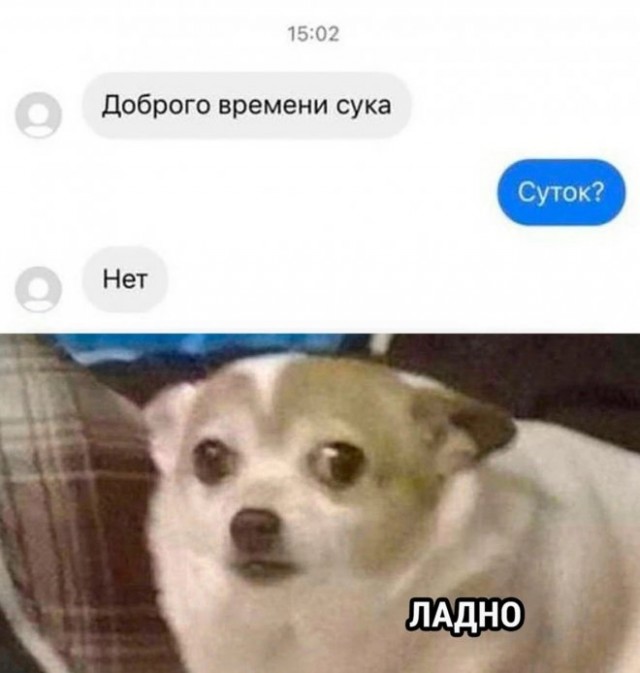 Картинки и мемы, выходные продолжаются