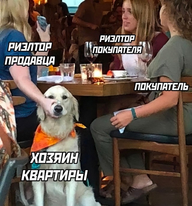 Картинки и мемы, выходные продолжаются