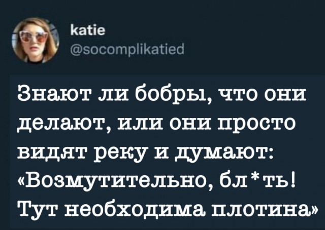 Забавные комментарии из социальных сетей (16.01.23)