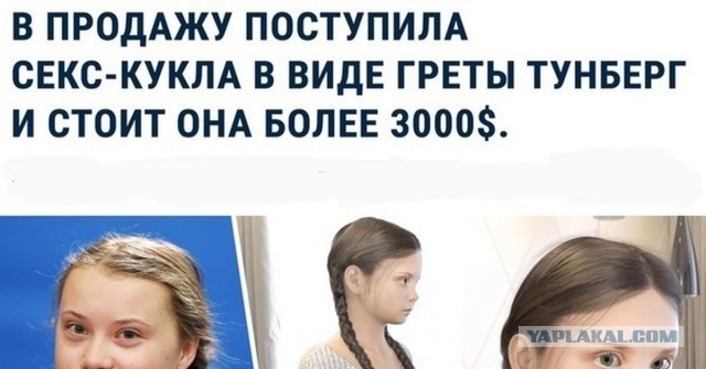 Грета Тунберг пыталась принять участие в протестах экоактивистов, требующих закрытия угольной шахты, но была задержана