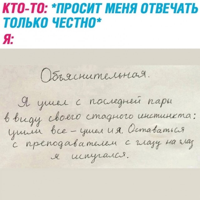 Весёлый полтишок 25.01.23