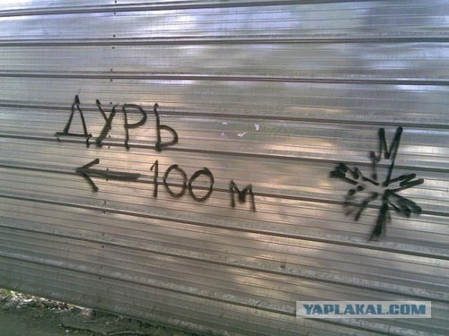 Приколы из Казахстана