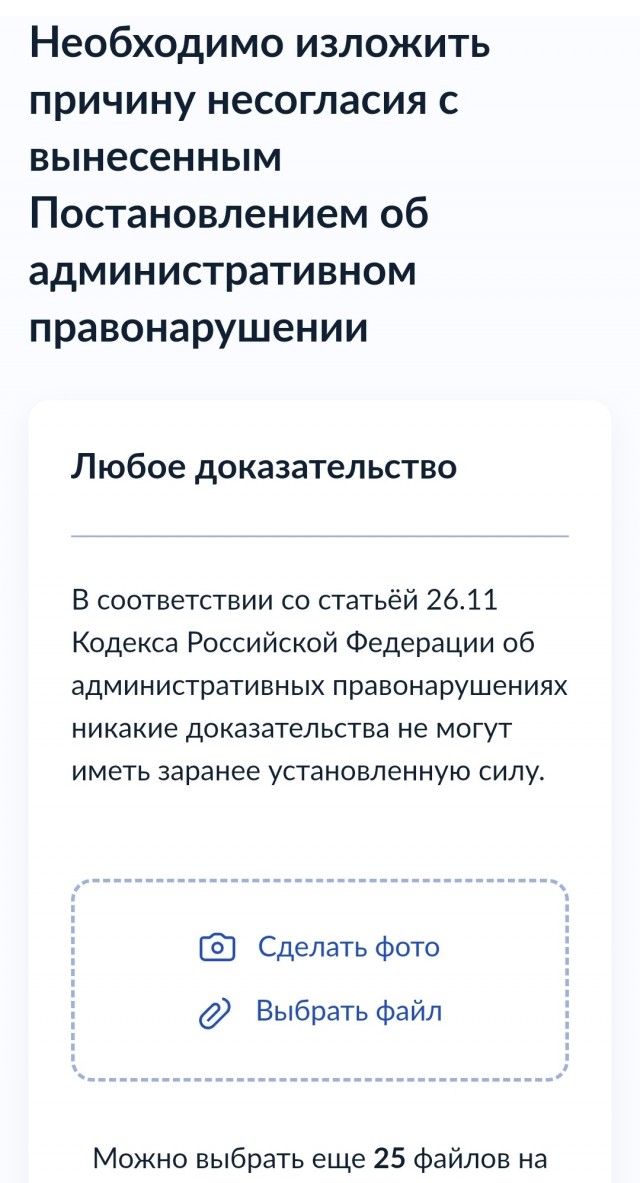 В Челябинске оштрафовали водителя грузовика за непристёгнутую игрушечную обезьяну под лобовым