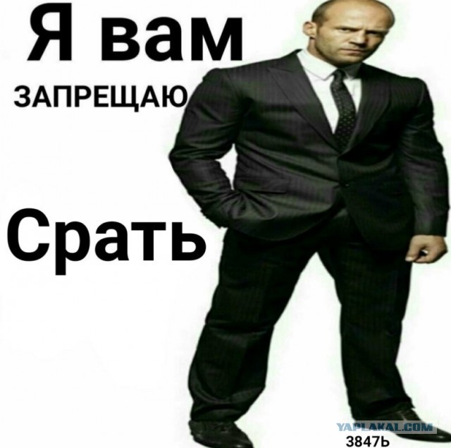 Дачникам напомнили о штрафах за туалет и другие поводы: что нельзя делать на участке