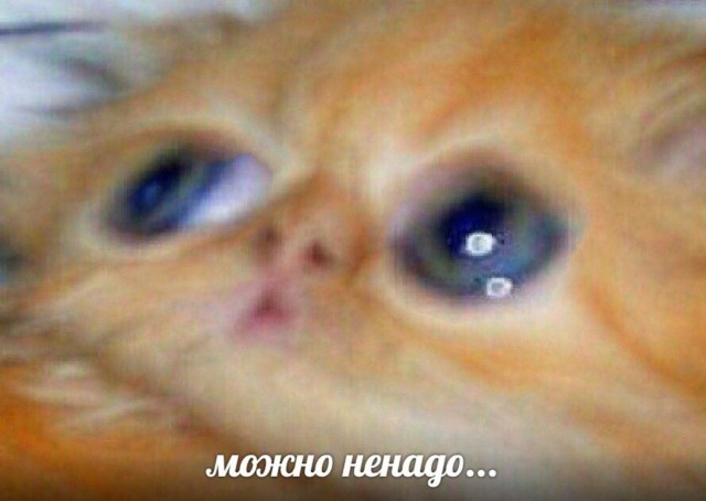 Напишем код