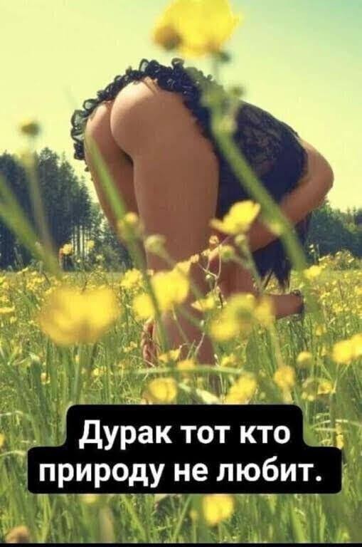 Кто же не любит природу?