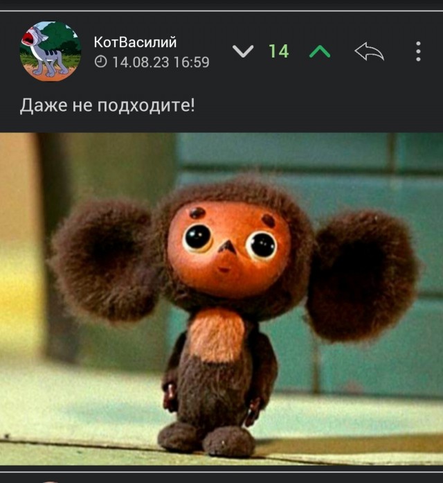 «Сломана да брат?»