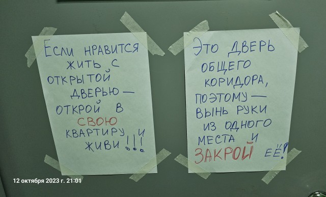 Ситуация под моим забором. Моё