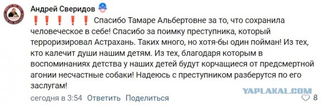 В Астрахани зоозащитники схватили пенсионера за грудки и обвинили в травле собак