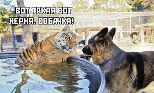 Оренбуржцы принимайте поздравления