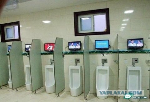 Телек в туалете