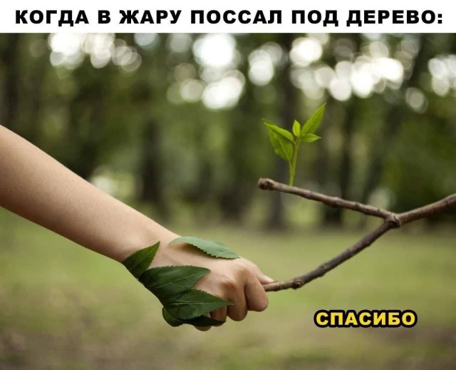 Никакие картинки