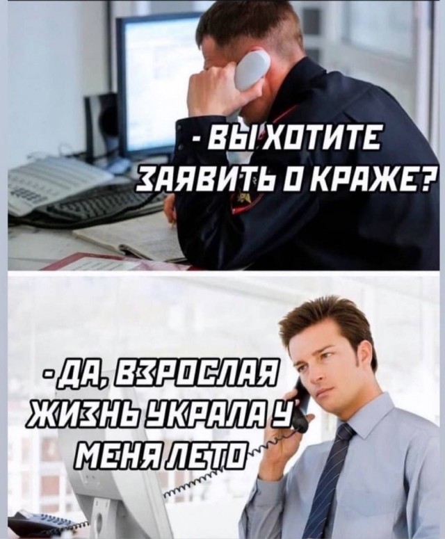 Немного забавных картинок от 11.09.2024
