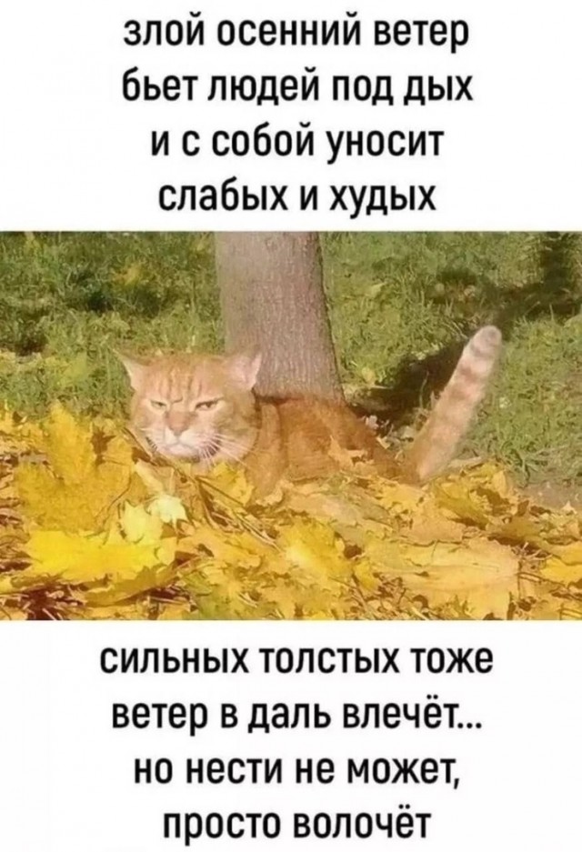Так себе картинки 02.11.24