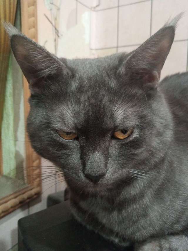 Игра