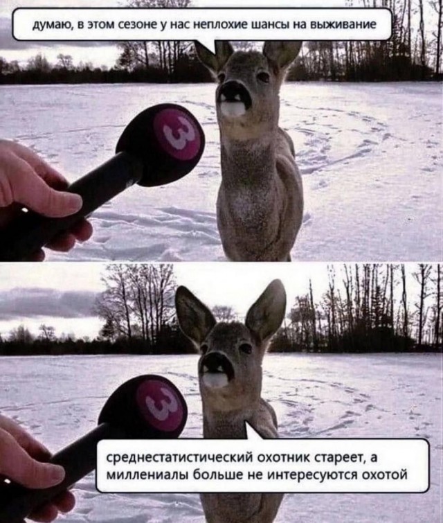 Картинки разные с надписями и без