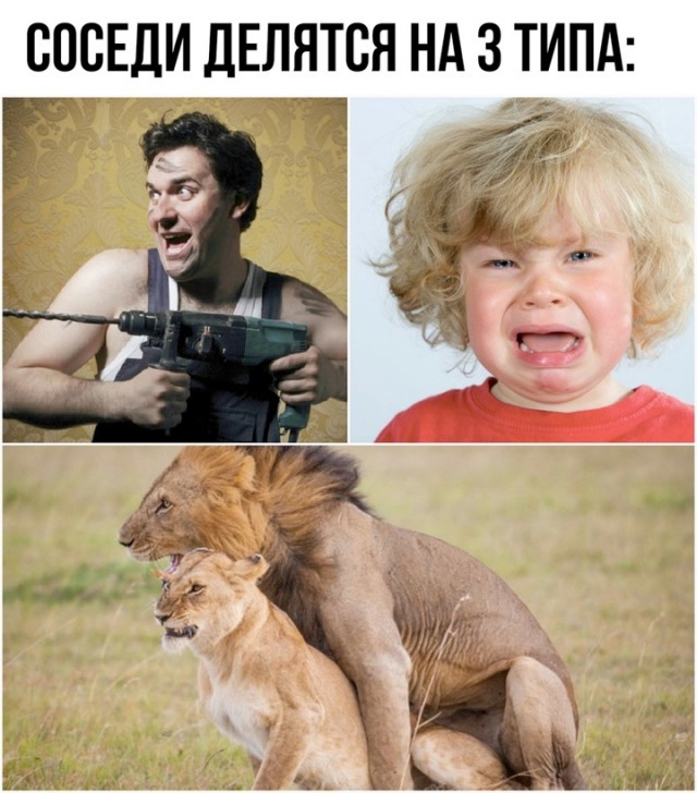 Маленькая пятница 12.03.25