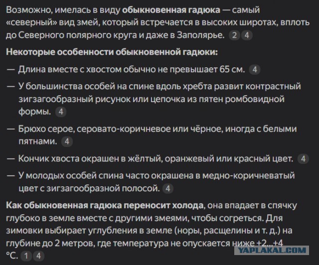Кого и почему на самом деле стоит опасаться в тундре