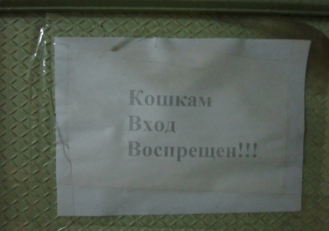 Забытая наука в гробовой тишине