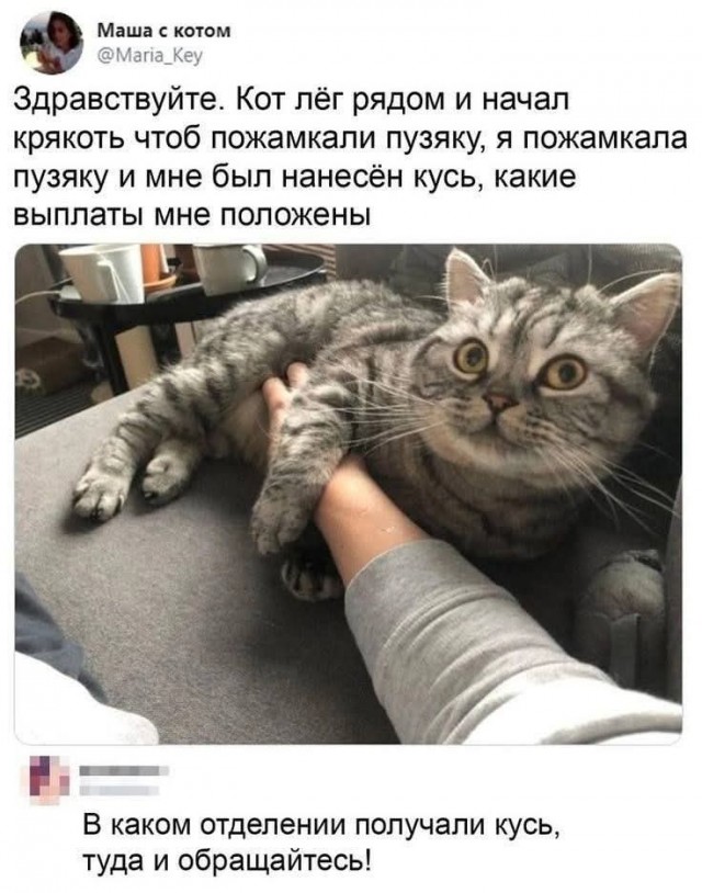 Завалялось тут случайно немного забавных картинок