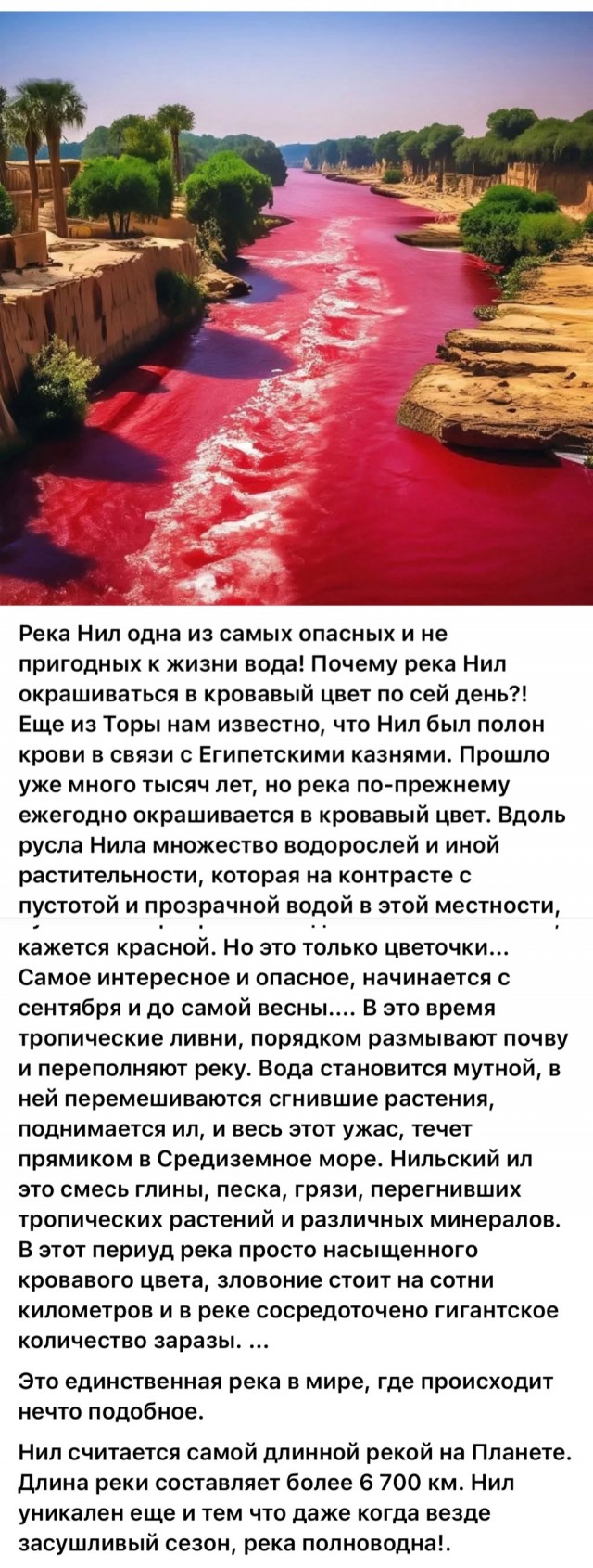 Редкие кадры и архивные снимки 25.06.25