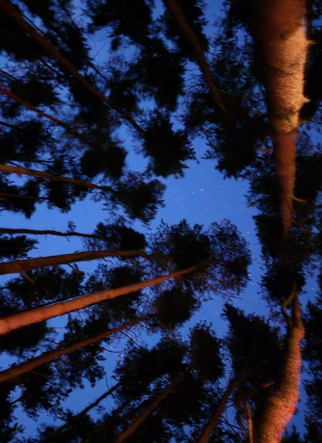 Большая медведица